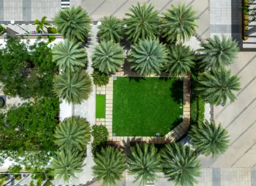 A top-down view of a well-maintained green courtyard surrounded by palm trees and paths made of stone tiles.