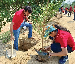 Miyawaki afforestation technique in mangalore.